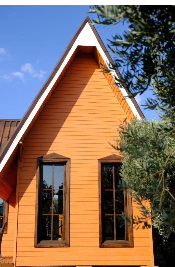 Seyyah Cafe Bungalows Aliaga Екстериор снимка