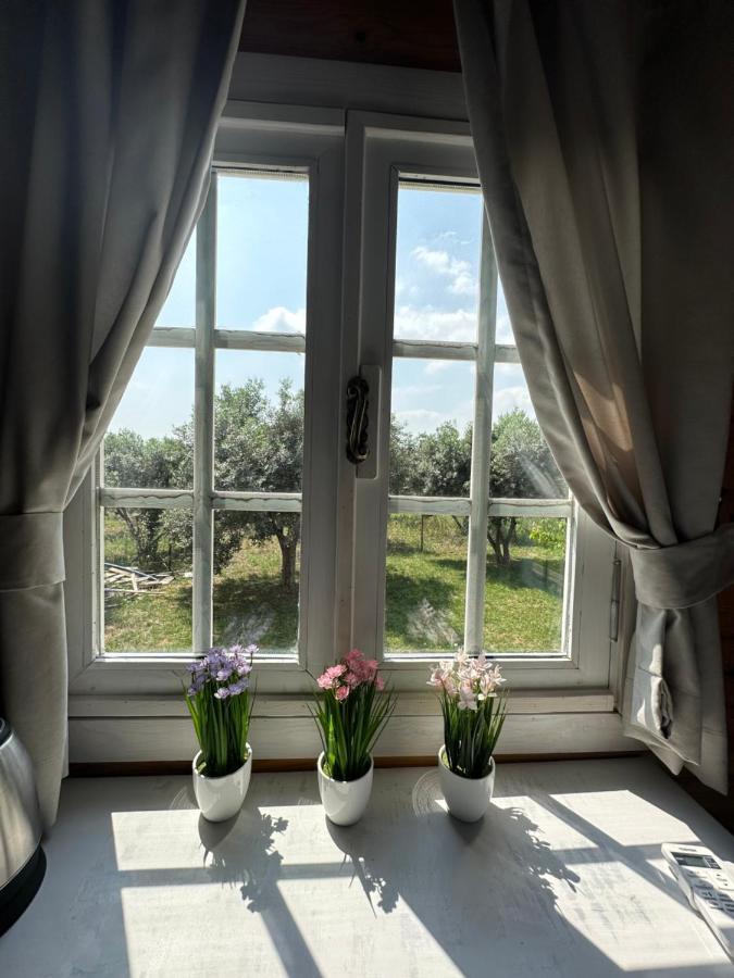 Seyyah Cafe Bungalows Aliaga Екстериор снимка