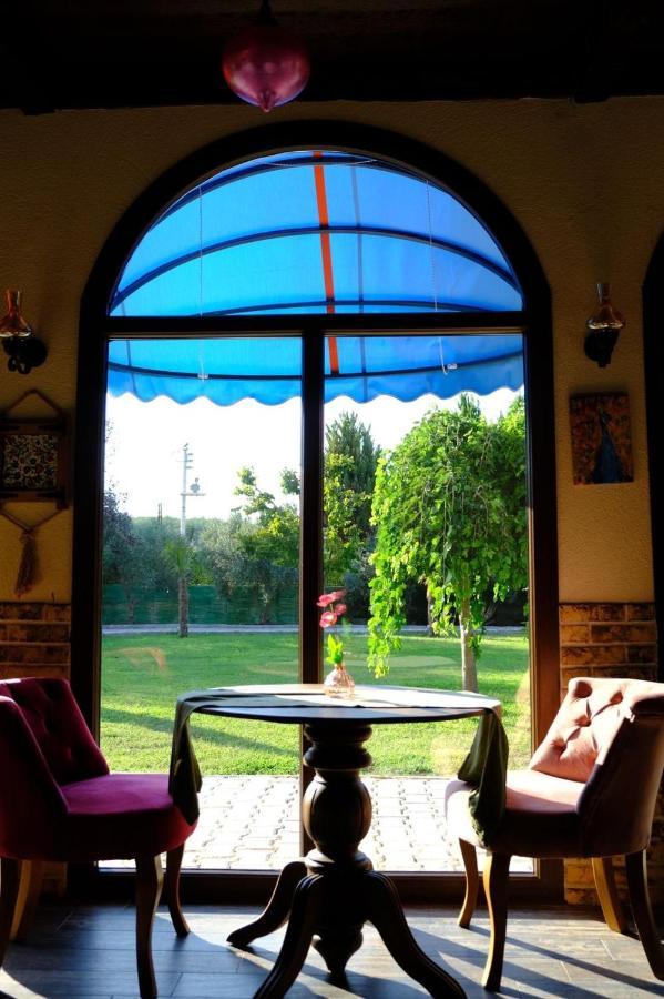 Seyyah Cafe Bungalows Aliaga Екстериор снимка